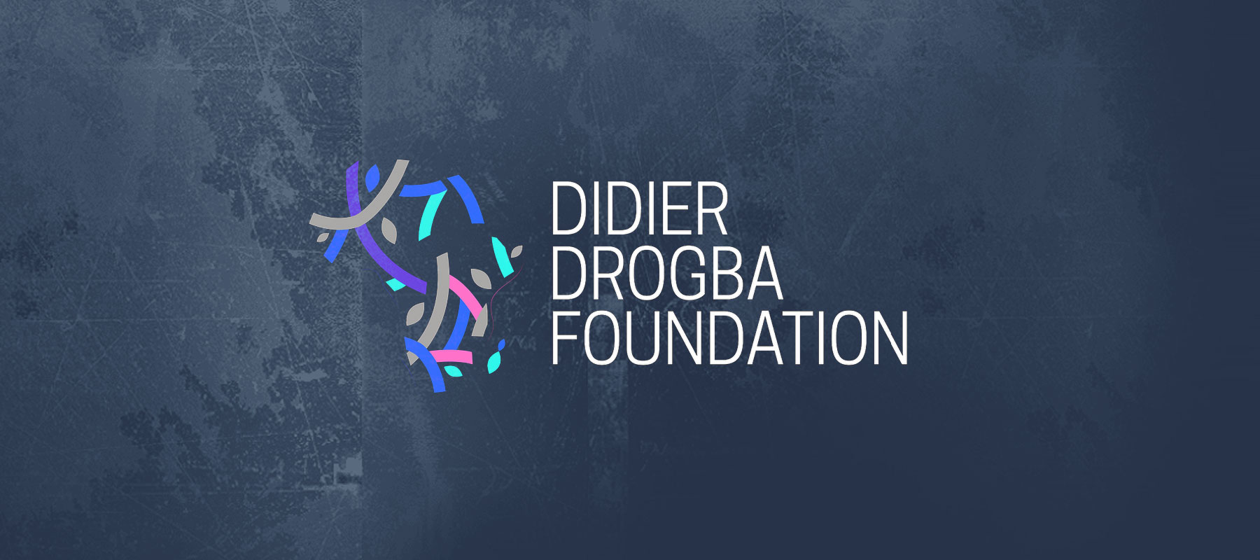 Didier Drogba Foundation